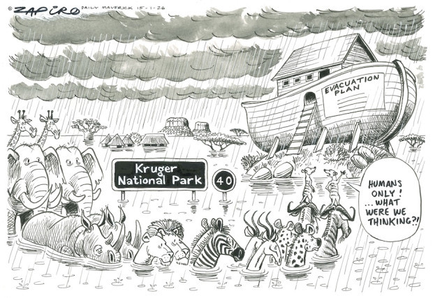 Cartoon: flooded Kruger National Park